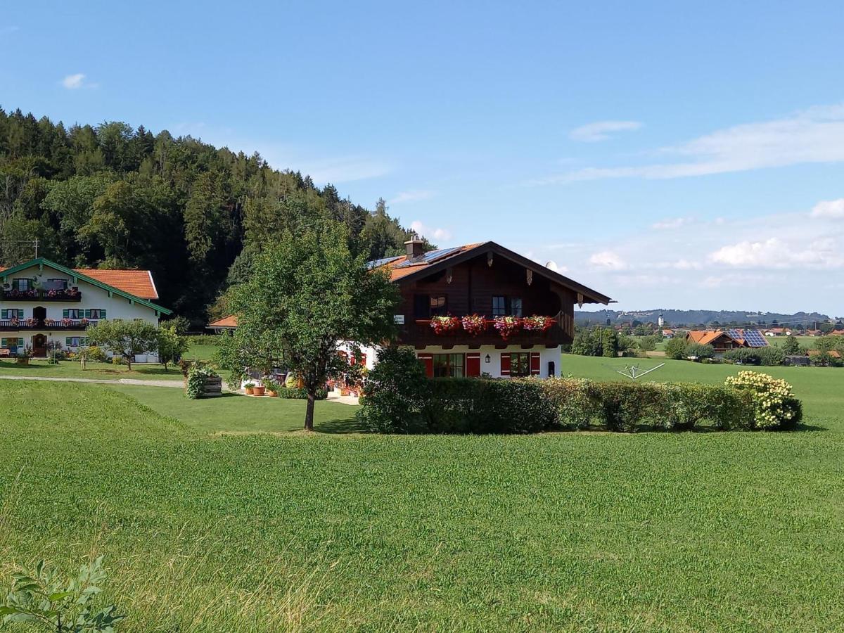 Апартаменты Haus Maier Марквартштайн Экстерьер фото